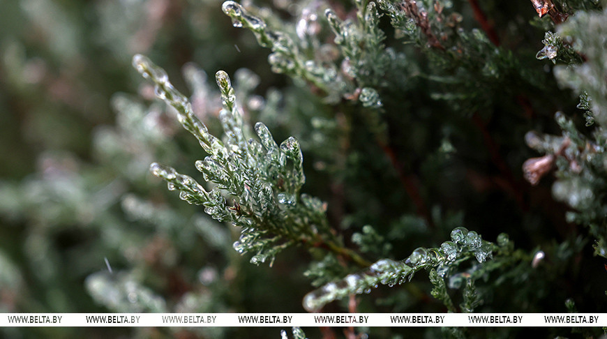 tuman pogoda 13 02 26 02