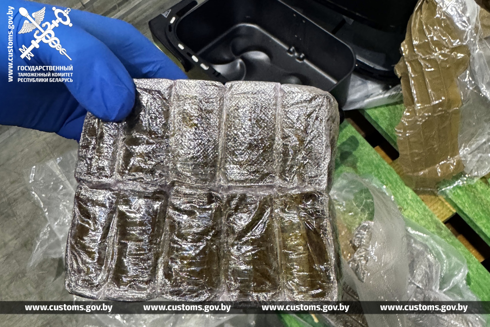 gashish polsha rossia 10