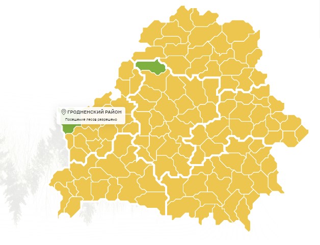 poseshchenie lesov 30 03 01