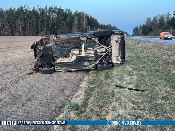 protas shchuchin 30 03 01