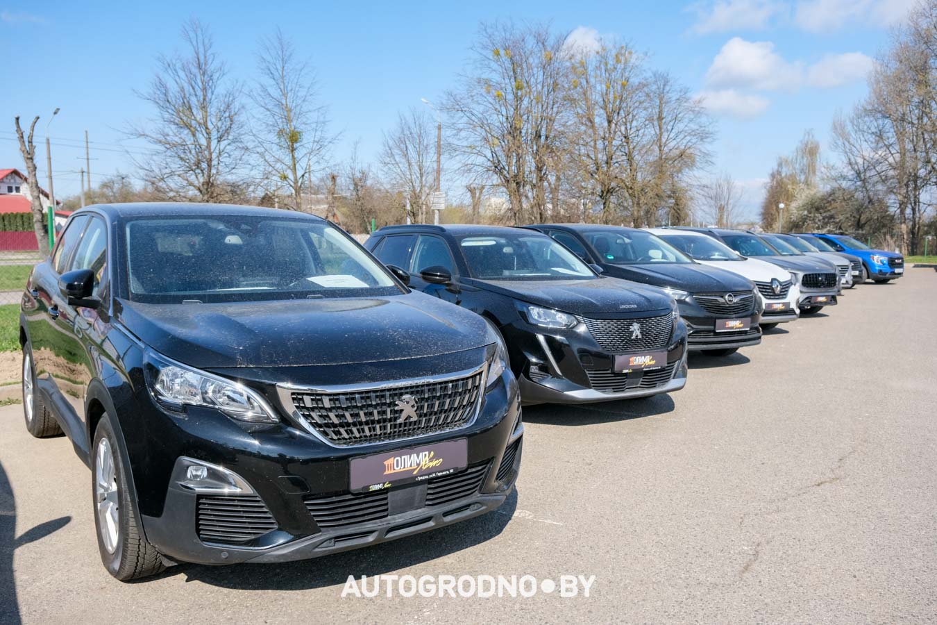 автокомис Олимп в Гродно