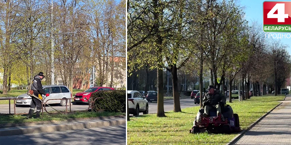 В Гродно начался сезонный покос травы