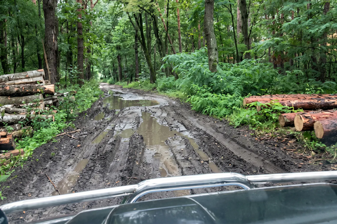 mitsu perekup istoria 30