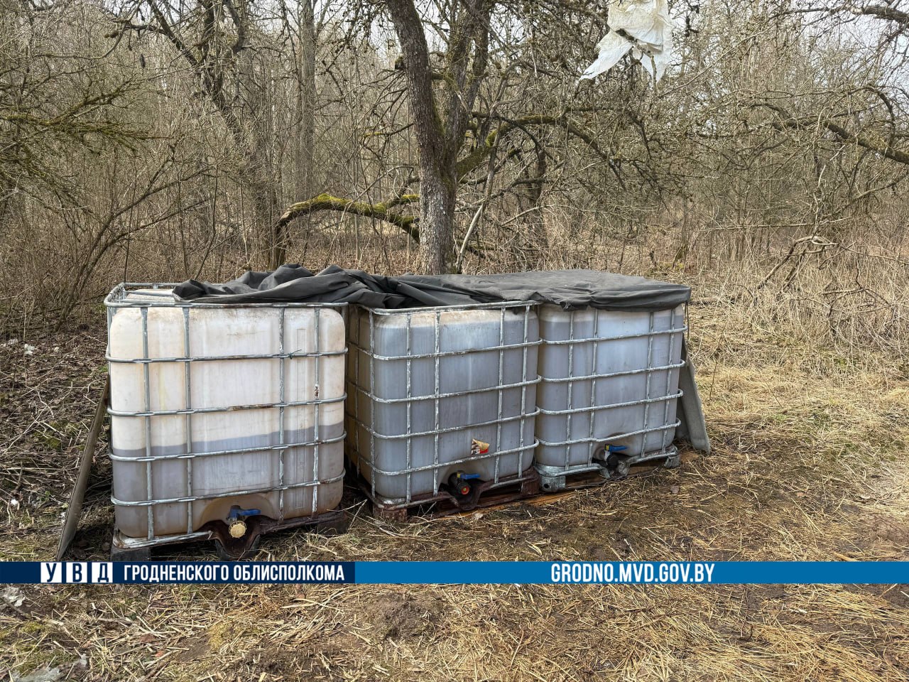 traktor ivje udobrenie 01