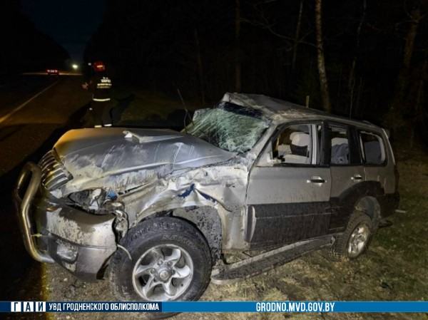 zelva zhivotnoe 08 04 26 01