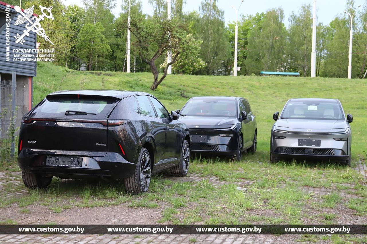 elektro chema 10 mln tamozhnja 01