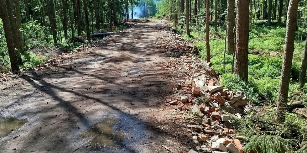 Компания подсыпала дорогу строительным мусором – Госконтроль оценил ущерб природе в 215 тысяч рублей