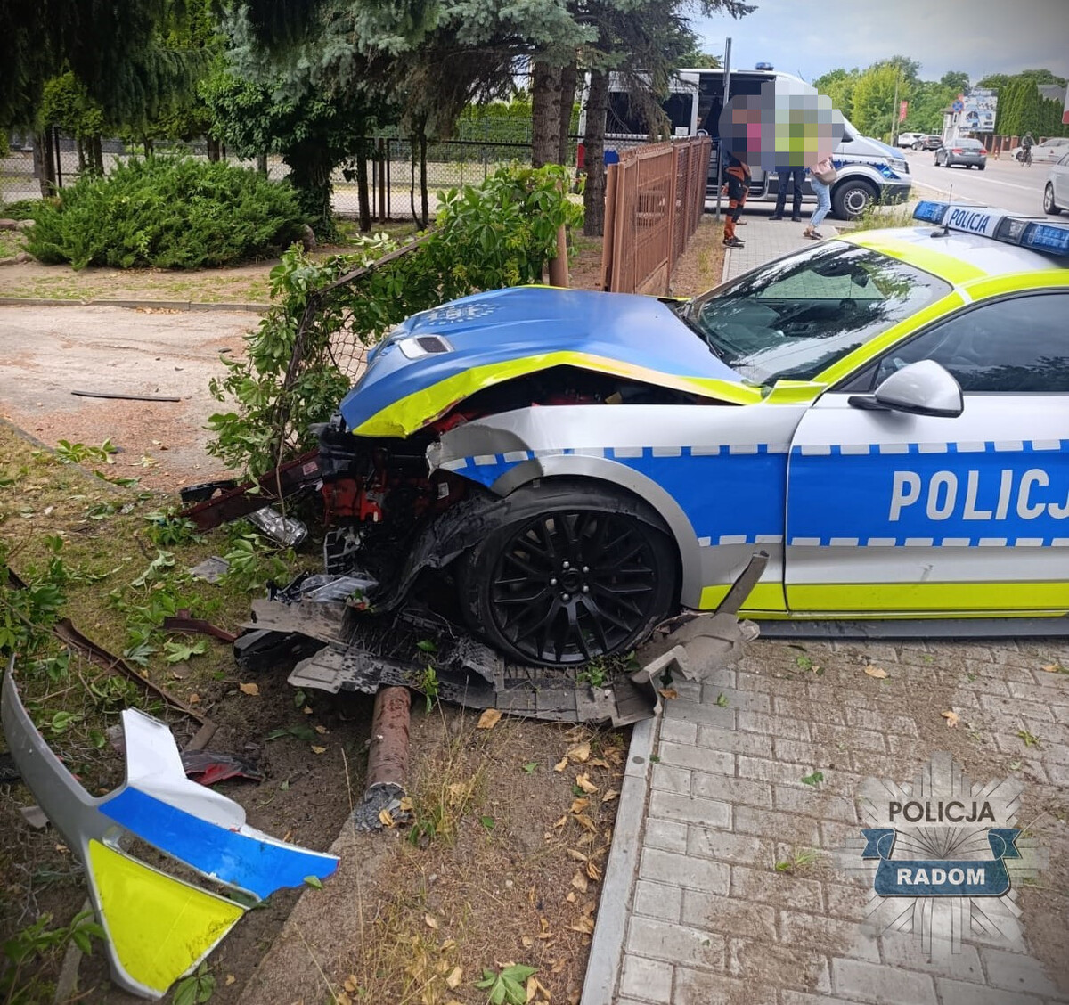 mustang polsha
