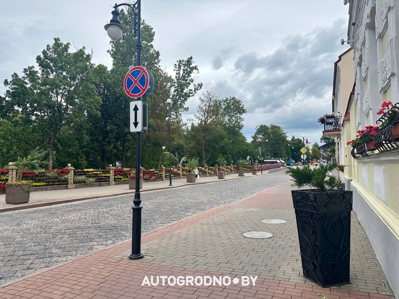 Улица Ожешко в Гродно - запрет на парковку