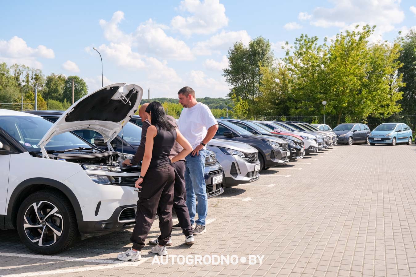 Площадка для продажи автомобилей в Гродно - Арена