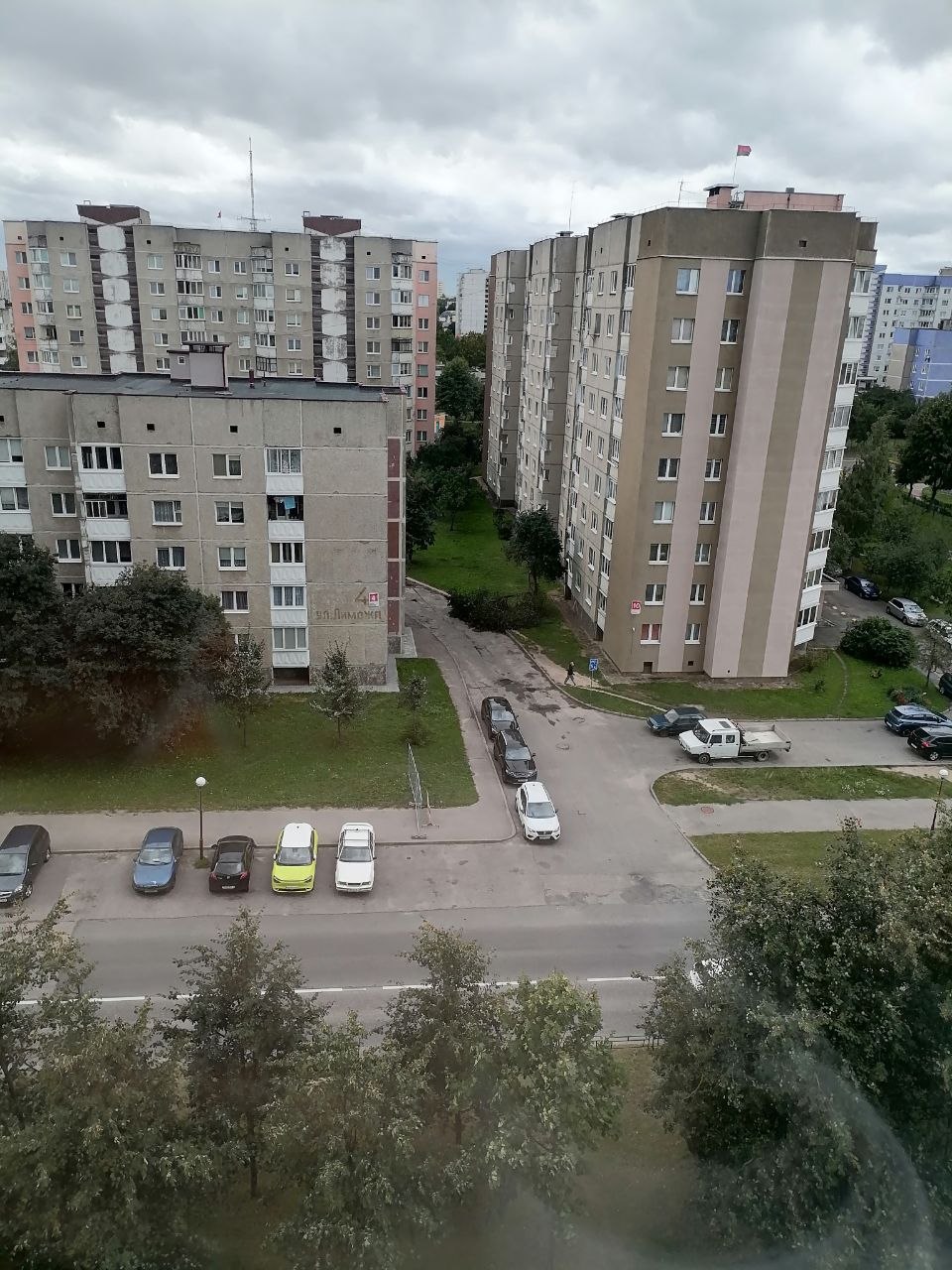 derevo grodno 01