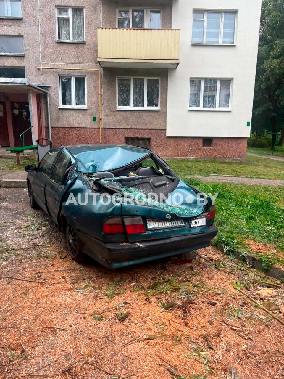 nissan grodno1
