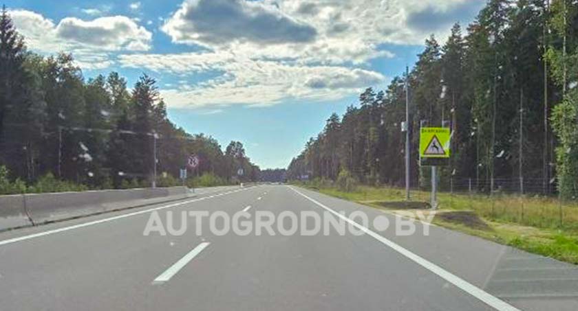 Проход для животных на трассе М6 Минск-Гродно