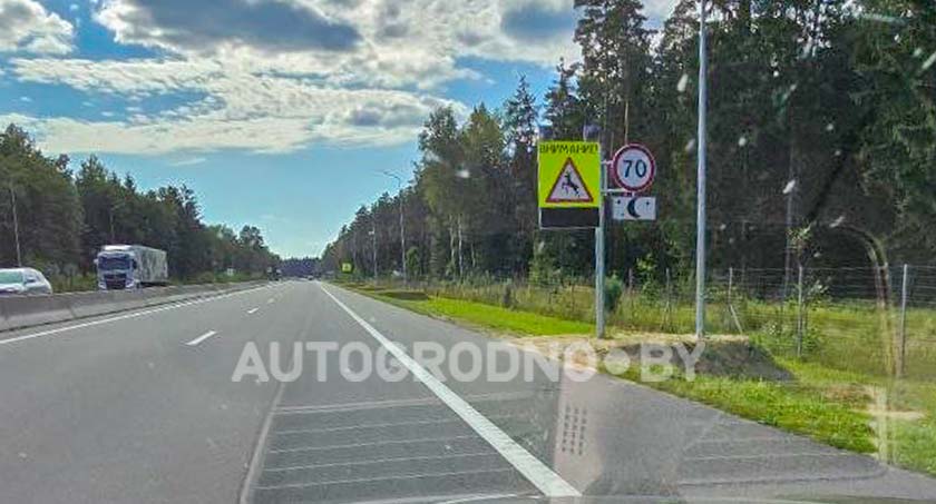 Проход для животных на трассе М6 Минск-Гродно