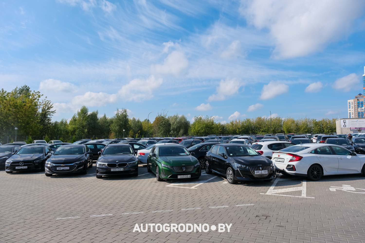 Какие автомобили представлены в автохаусе Авто Арена в Гродно