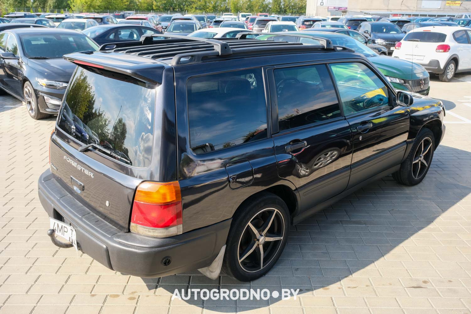Какие автомобили представлены в автохаусе Авто Арена в Гродно