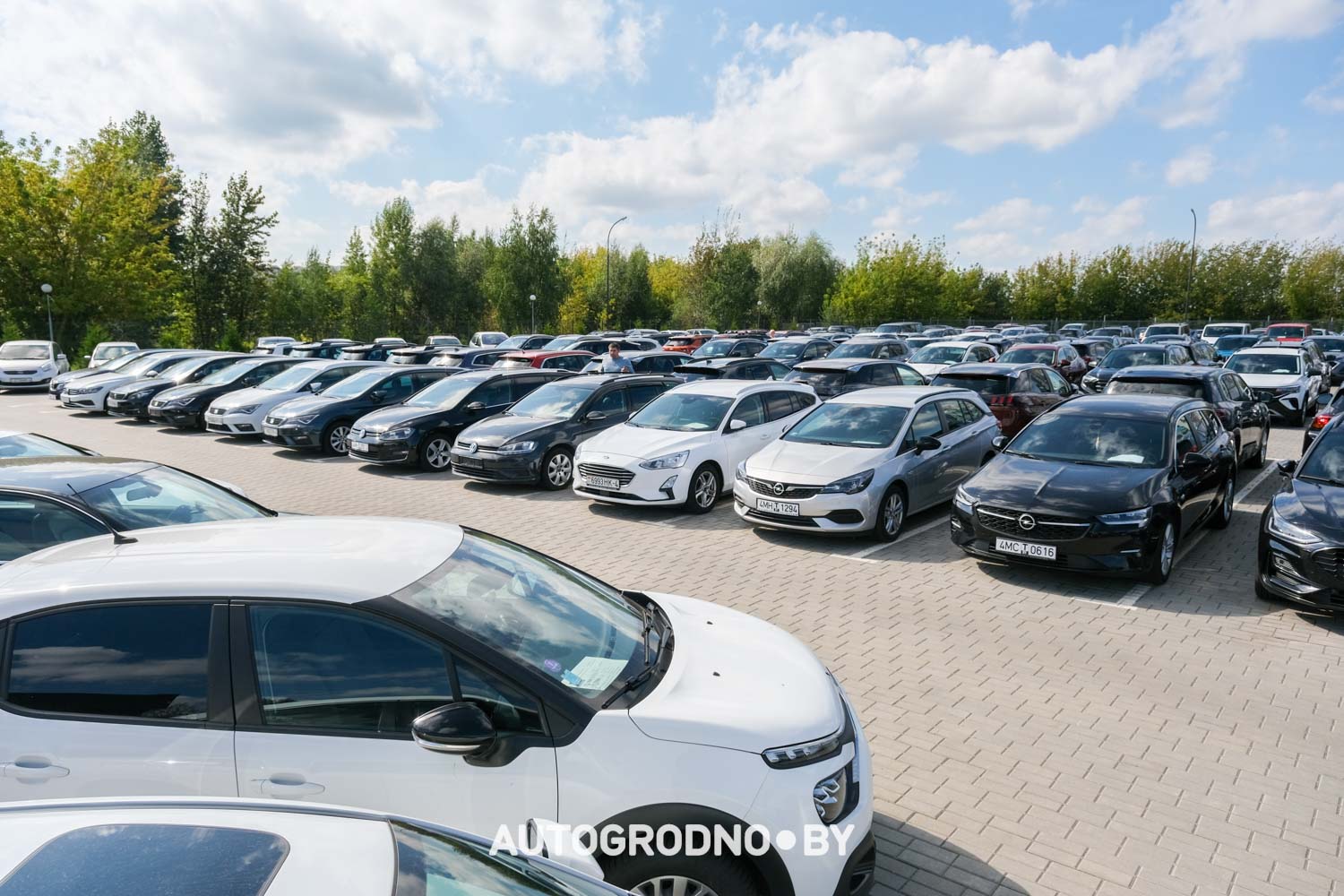 Какие автомобили представлены в автохаусе Авто Арена в Гродно