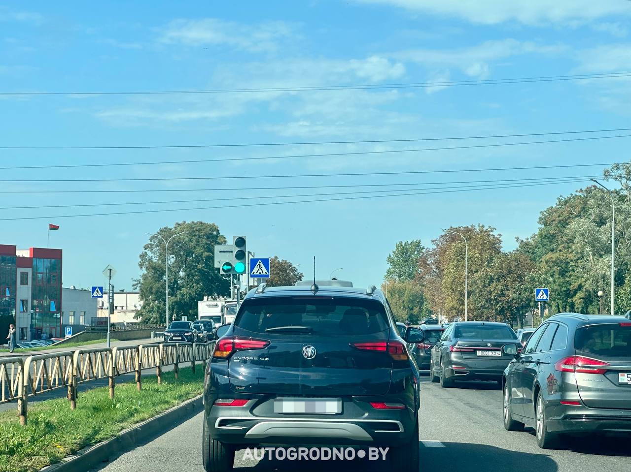 pestraka levyj povorot 01