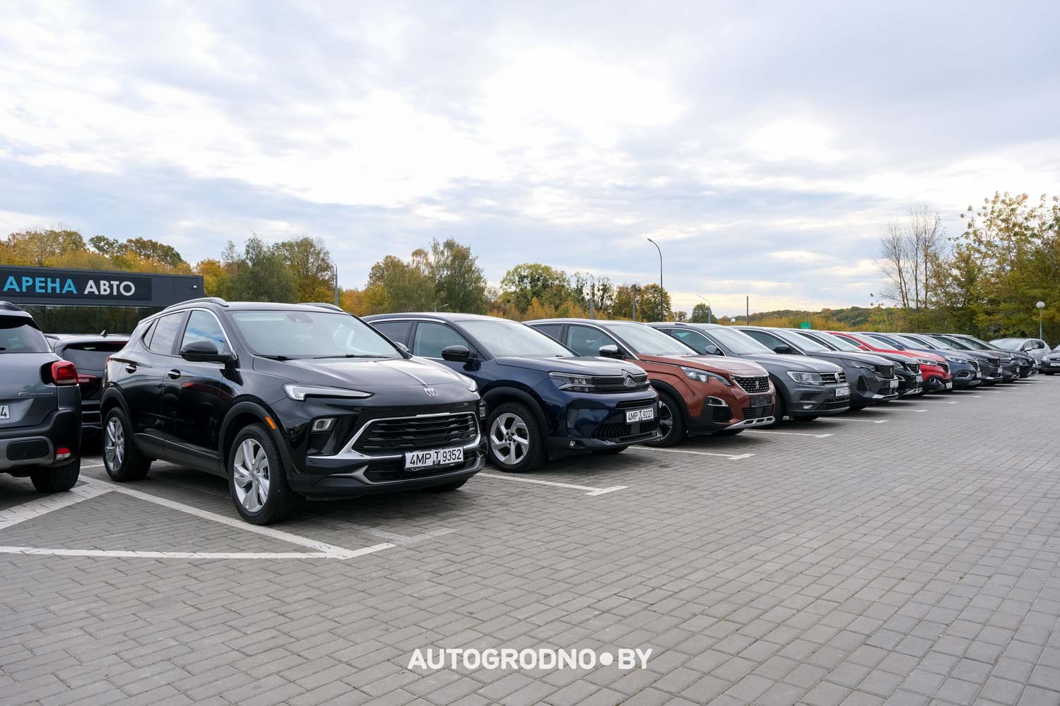 Сравнение лизинга и кредита при покупке автомобиля в Гродно