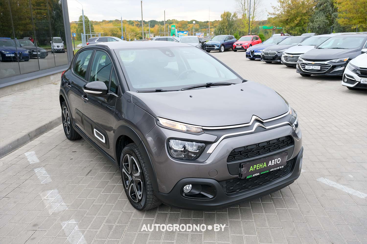Сравнение лизинга и кредита при покупке автомобиля в Гродно