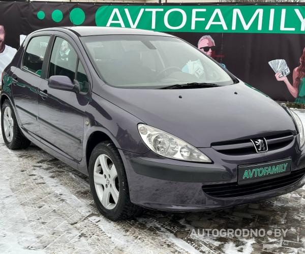 Peugeot 307  2002