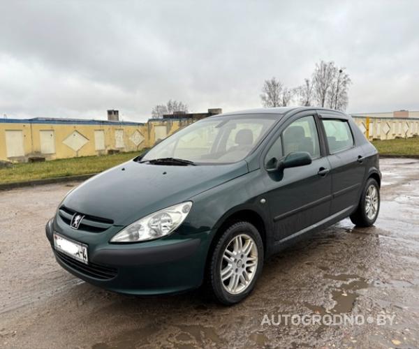 Peugeot 307  2001