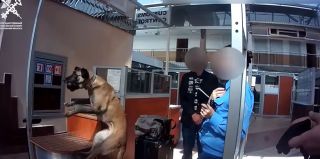 Белорус на рейсовом автобусе хотел провезти кокаин через границу. Ему грозит 10 лет тюрьмы
