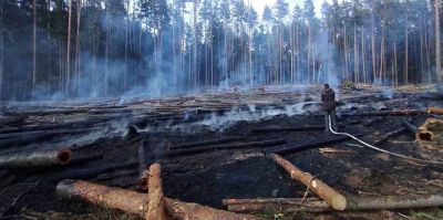 Цена беспечности: лесной пожар из-за сигареты обошелся в 168 тысяч рублей