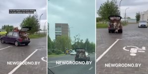 В открытом багажнике авто – собаки, в салоне полно игрушек. Что за странный Nissan ездит по Гродно?