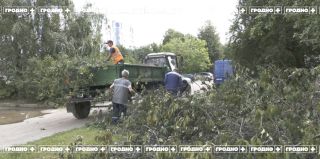 В Гродно продолжают устранять последствия сильного ливня