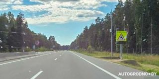 На трассе М6 создали коридор для диких животных – скорость ограничили до 70 км/ч в темное время суток