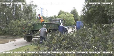 В Гродно продолжают устранять последствия сильного ливня