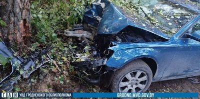 Под Гродно AUDI оказалась в дереве. Пострадала 18-летняя девушка