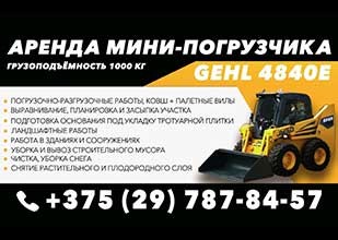 Аренда мини-погрузчика GEHL 4840e