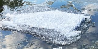 Две льдины с сигаретами выловили литовские пограничники из Немана с разницей в полчаса. Контрабандисты очень постарались