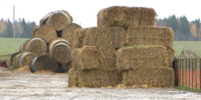 Украл корм – лишился автомобиля: итоги дела о хищении в Гродненском районе