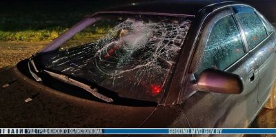 Под колесами AUDI погиб пешеход. Они с водителем не увидели друг друга из-за проезжавшего большегруза