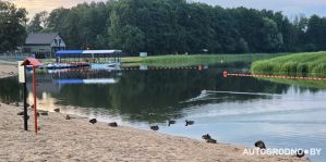 В Гродно зоны отдыха снова обработают от клещей. Даты