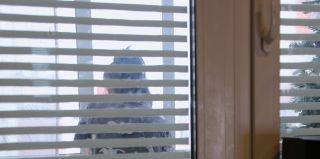 Не виноватая я! На многодетную мать "повесили" Range Rover Sport стоимостью более $120 000 из США. Каких последствий ожидать?