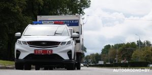 Повреждения авто и сбитая косуля — кто это сделал? ГАИ Гродно ищет свидетелей и очевидцев ДТП