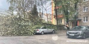 Более 60 раз выезжали спасатели МЧС устранять последствия сильного ветра в Беларуси