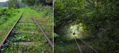 Превью фото к статье Сезон путешествий на дрезине в Озерах начнется в апреле. Бронирование открыто...