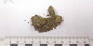 В "Каменном Логе" белорус пытался проглотить сверток с марихуаной. Сейчас мужчина под стражей