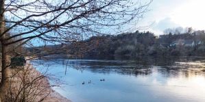 Ограничения на посещение лесов введены в Гродненской области. Обновлено: по всей Гродненской области