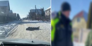 Инспекторы ГАИ заметили на дороге мужчину в -25°. "Я просто так лежал?" – спрашивал он потом