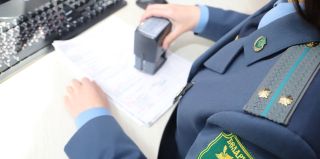 Новые правила временного ввоза авто для россиян, живущих за границей