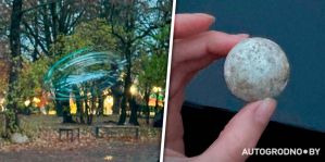 В центре Гродно ворона разбила ветровое стекло в легковушке: "Могут быть новые жертвы"