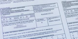 В каких пунктах пропуска можно купить "Зеленую карту"? Сколько стоит? Водитель рассказал, что делать