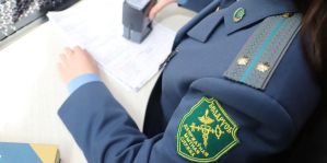 Таможня: решения по товарам для личного пользования принимаются по факту проведения таможенного контроля