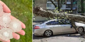 Превью фото к статье Автомобиль испортил град или упавшее дерево? Юрист ответил, кто обязан выплатить водителю компенсацию ...